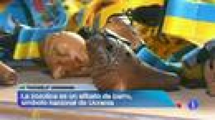 Telediario 1 - La 'zozulica' sonará en la Eurocopa