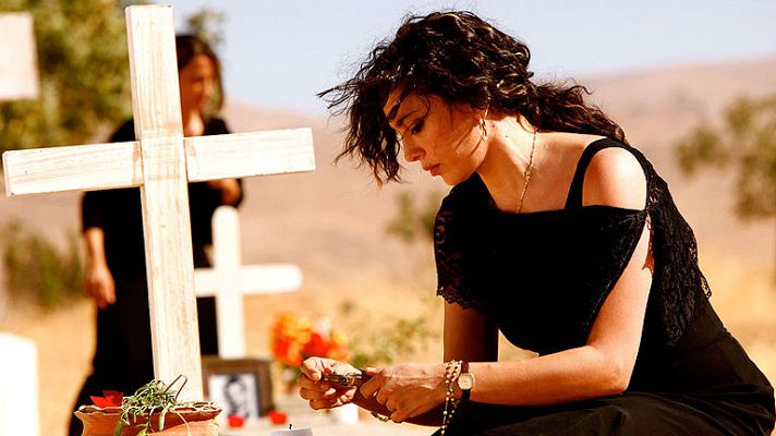 Días de cine - Días de cine: ¿Y ahora adónde vamos??