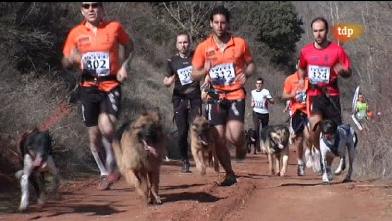 Canicross Villa de Covarrubias - ver ahora