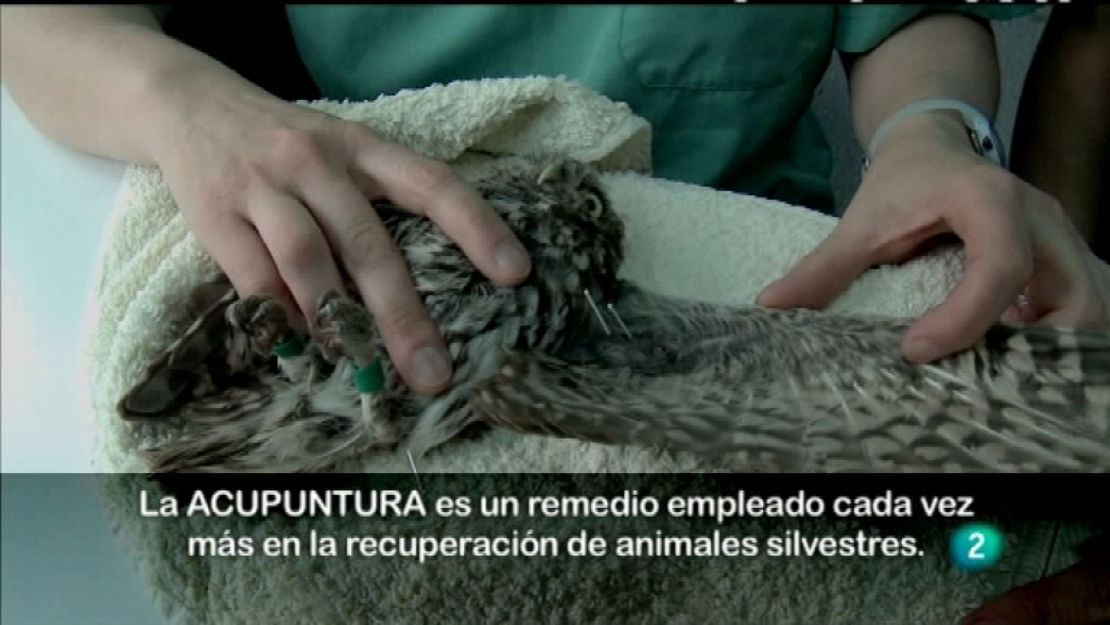 Biodiario - 02/03/12 - Ver ahora