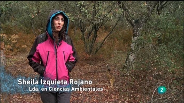 Emprendedores e innovadores - Capítulo 22