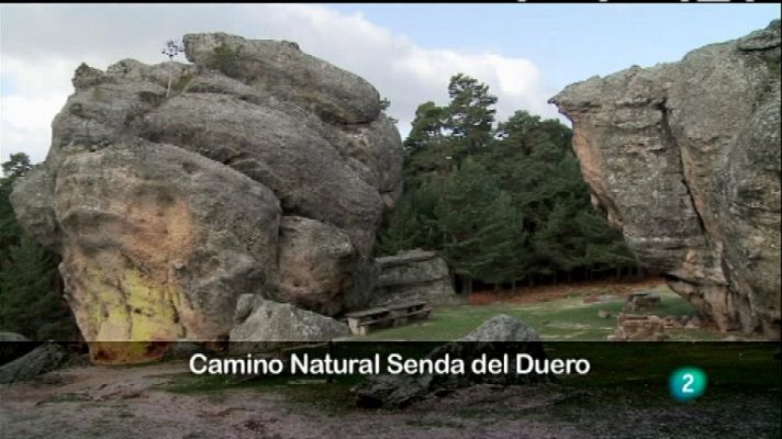 Biodiario - Biodiario - 04/03/12