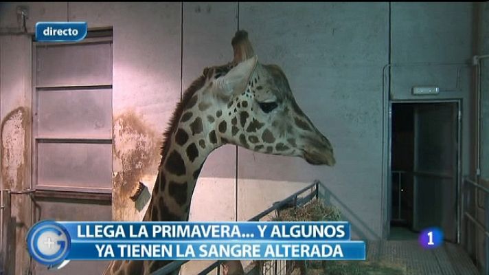 +Gente - Más Gente - 04/03/12