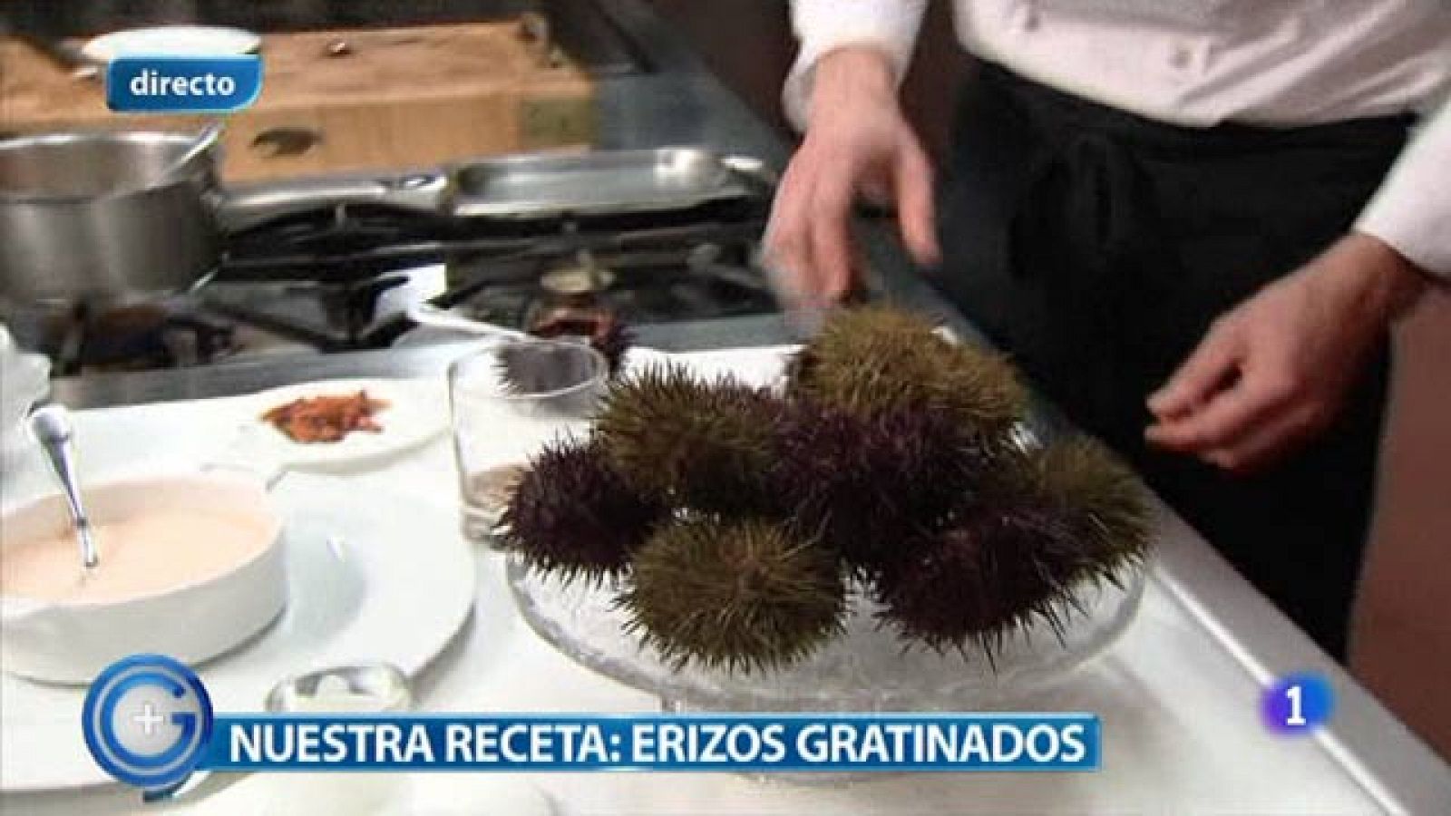 +Gente: Erizos gratinados | RTVE Play