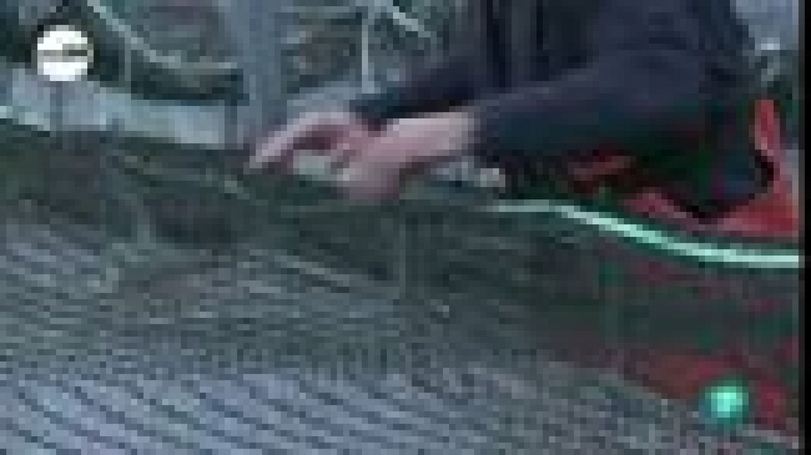 tres14 - Curiosidades científicas - Salmón transgénico