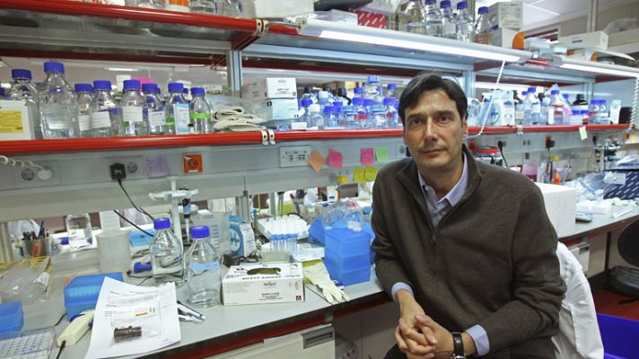 Telediario 1 - ¿Gen antiobesidad?