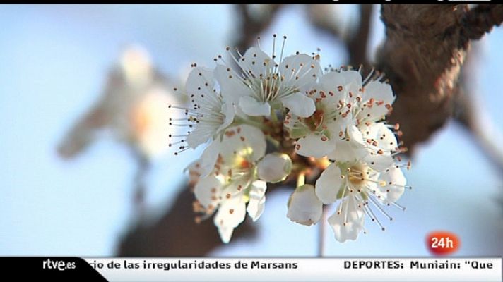 España en 24 horas - 07/03/12