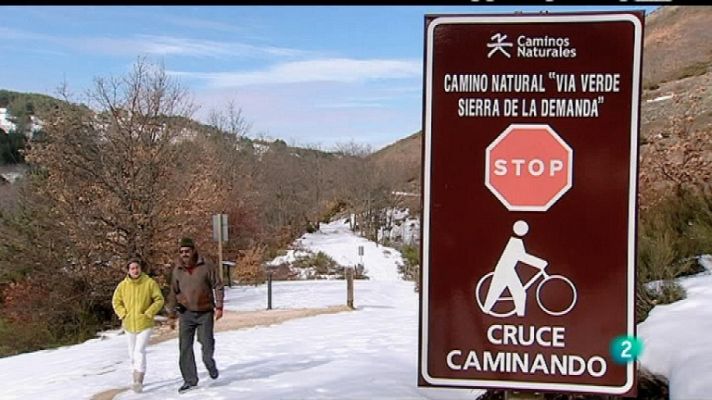 Biodiario - Biodiario - 07/03/12