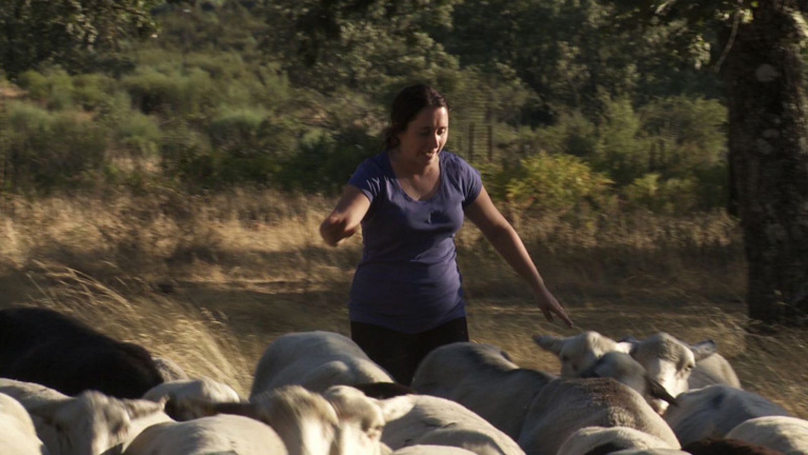 Convive - Capítulo 1 - Blanca intenta demostrar que pastorear las ovejas es fácil