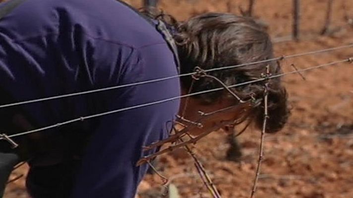 Telediario 1 - Telediario 2 en 4' - 08/03/12