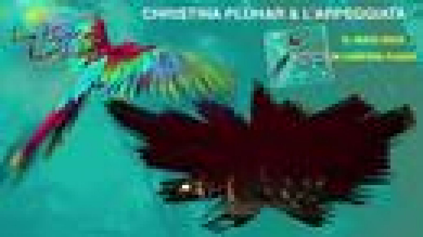 La chilena Luciana Mancini, el napolitano Vincenzo Capezzuto  y el francés Philippe Jaroussky, tres de las voces que intervienen en el álbum 'Los pájaros perdidos' de Christina Pluhar con L'arpegiatta | Ver