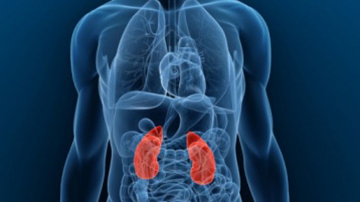 La mañana - La salud del riñón