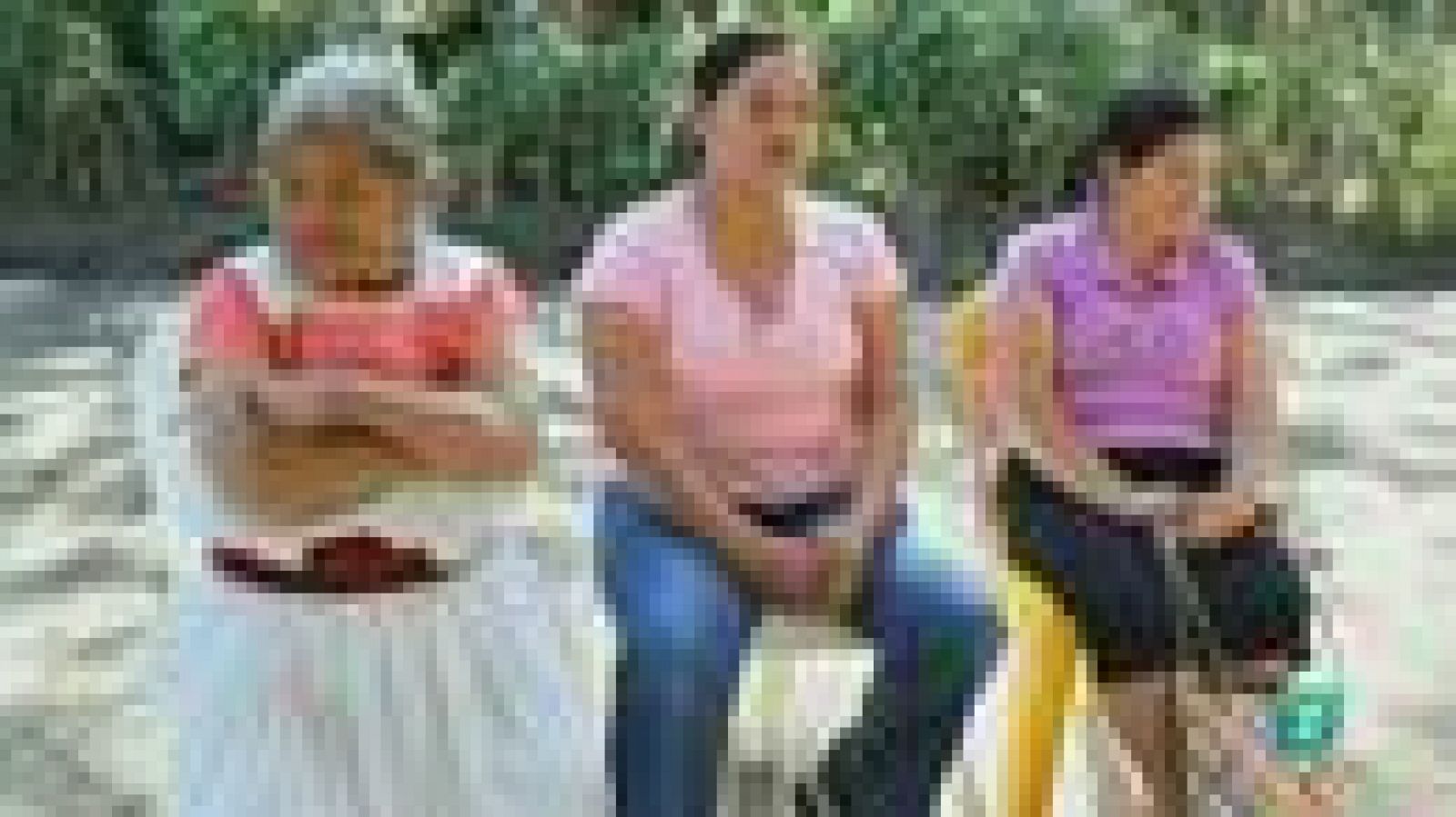 Para todos La 2 - ONG - Las penélopes