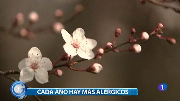 Menos alergias esta primavera
