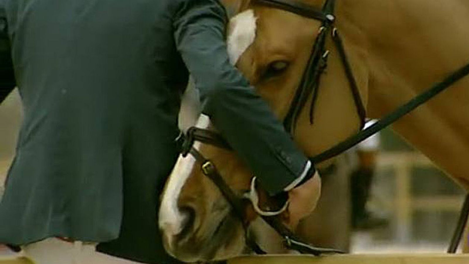 La relación entre jinete y caballo es la base de la hípica, uno deporte que brilla especialmente en los Juegos Olímpicos y que estos días destaca en la localidad valenciana de Oliva.