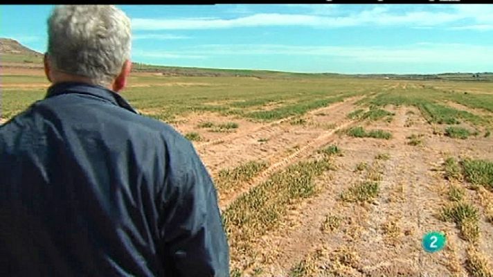 Agrosfera - Agrosfera - 10/03/12