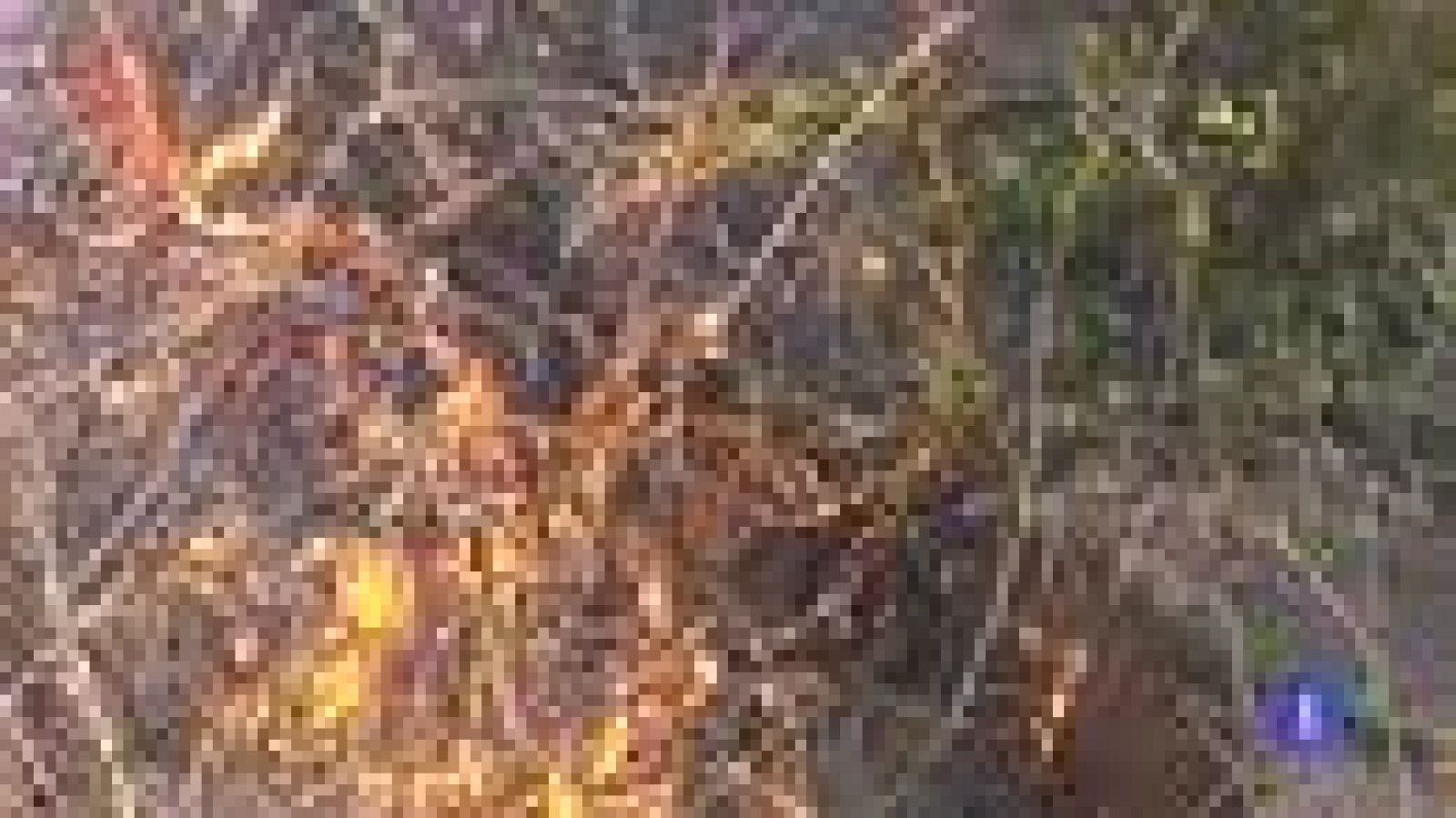 Decenas de efectivos trabajan para controlar los incendios de Girona, Lleida y Huesca