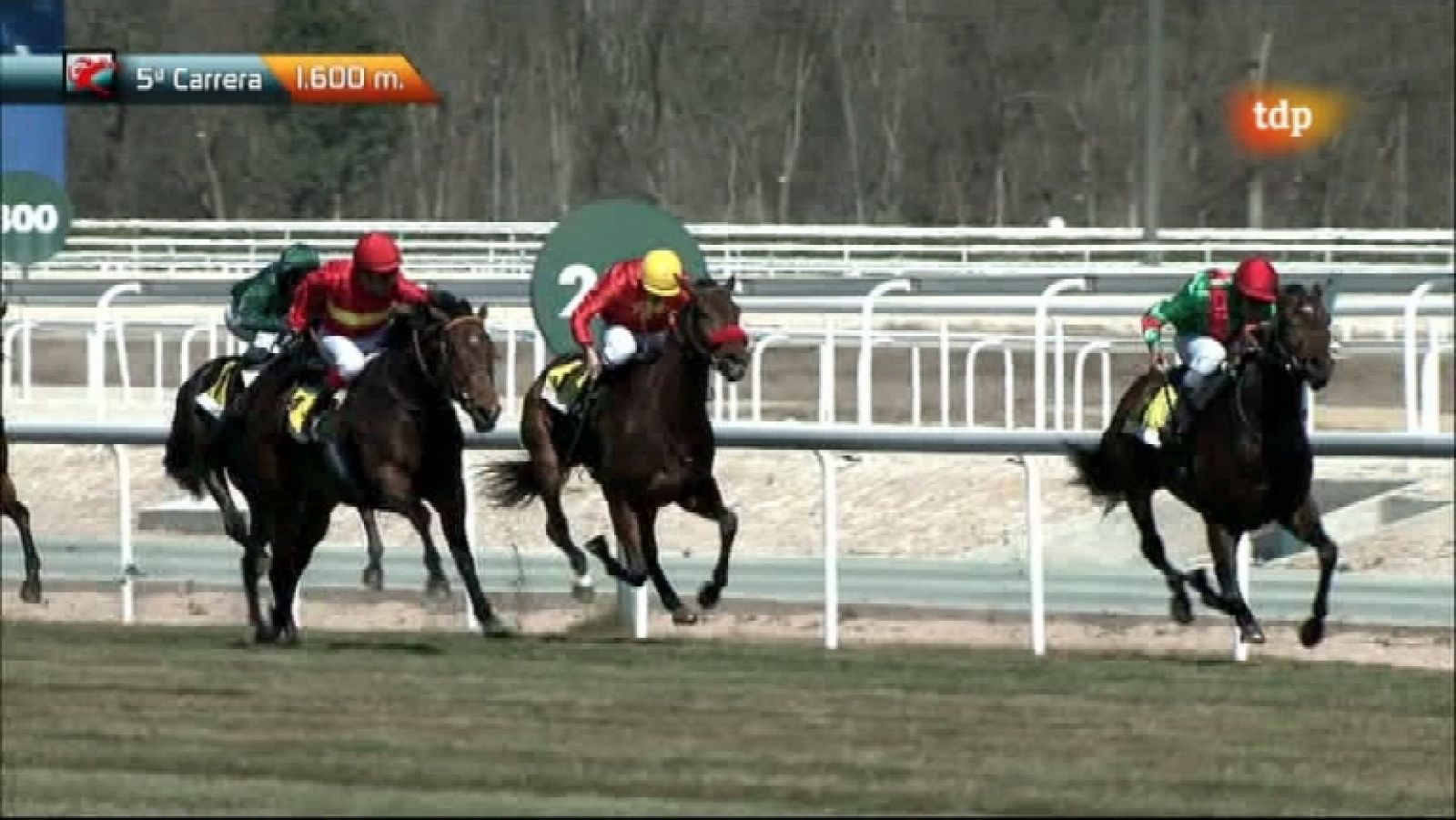 Turf - 11/03/12 - Ver ahora