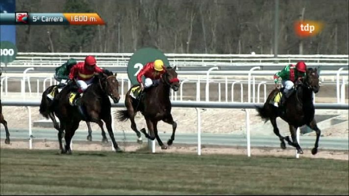 Turf - Turf - 11/03/12