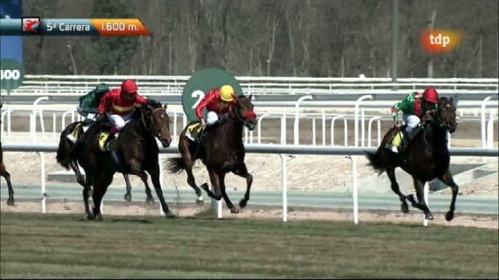 Turf - Turf - 11/03/12