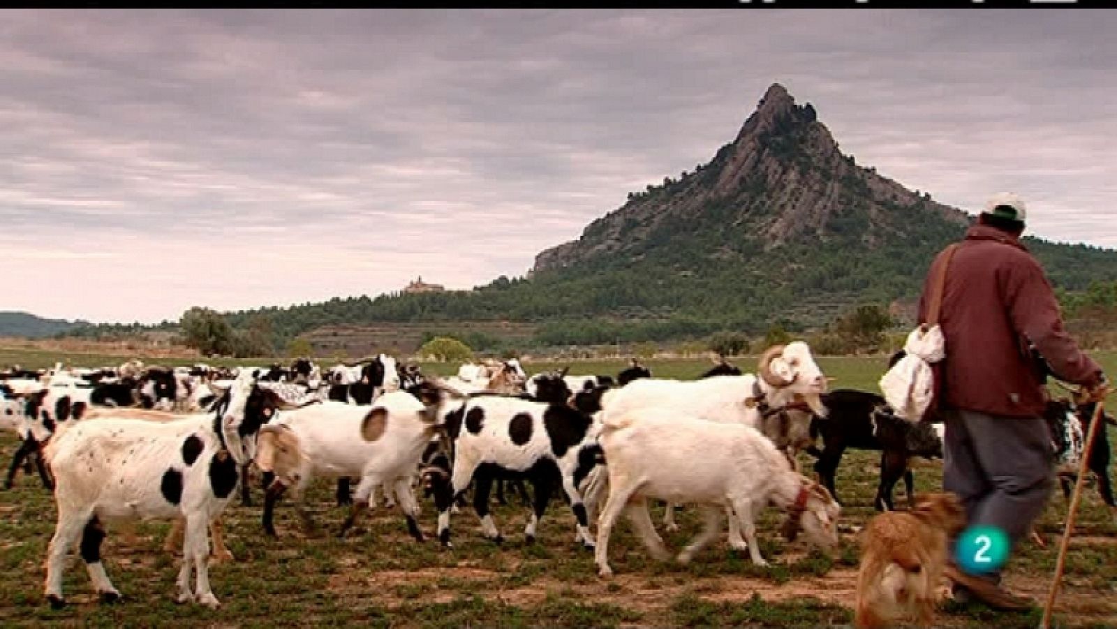 Biodiario - 11/03/12 - Ver ahora