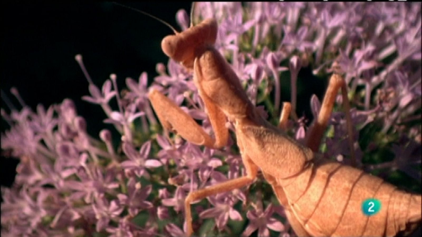 Biodiario - 12/03/12  - Ver ahora