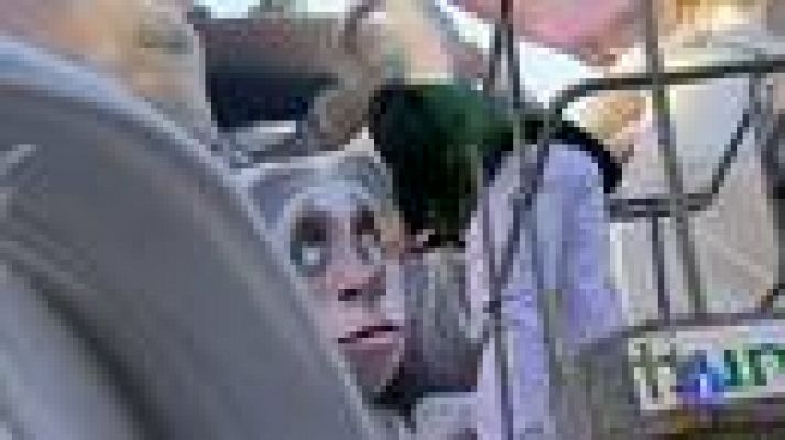 Telediario 1 - Comienzan las fallas valencianas