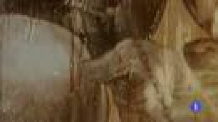 Telediario 1 - Resolución del misterio