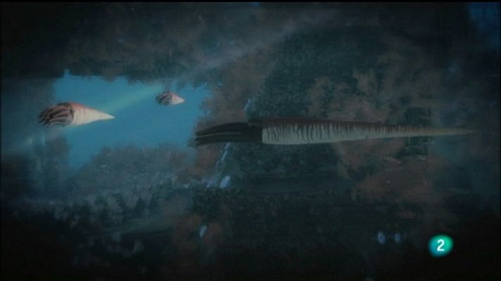 Documenta2 - Armagedón Animal - Rayos letales