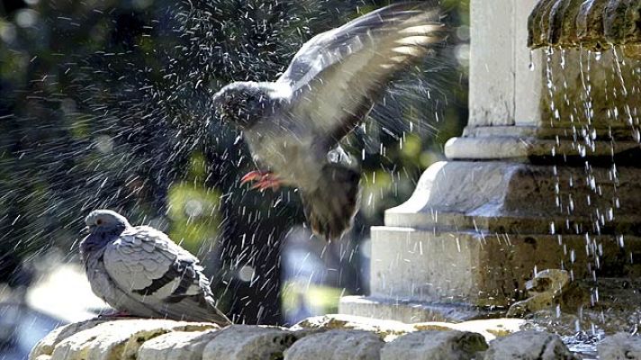 +Gente - Tiempo primaveral, con adelanto