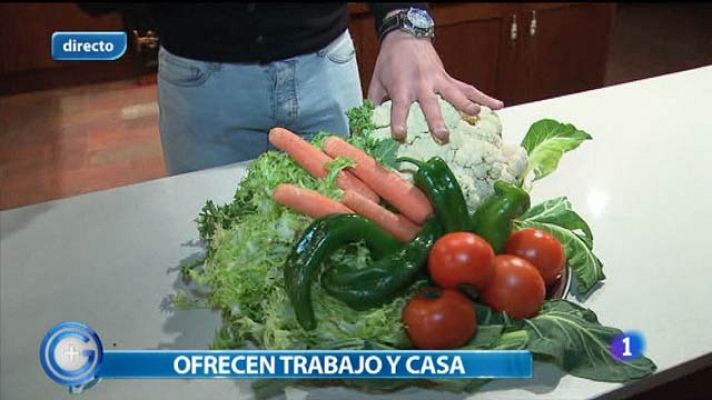 +Gente - Trabajo en una masía de Lleida