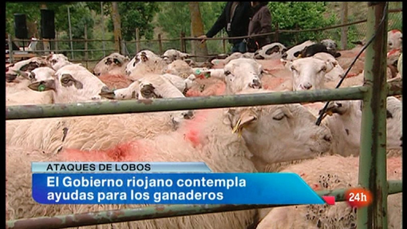 España en 24 horas - 14/03/12 - Ver ahora