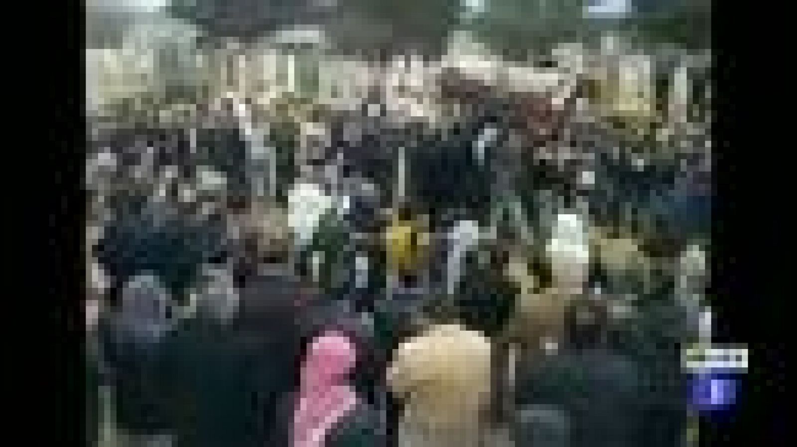 Se cumple un año de las revueltas en Siria