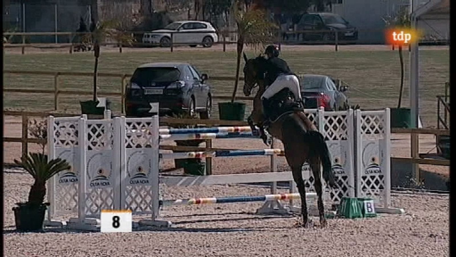 Hípica - Mediterranean Equestrian Tour (III) - GP Diamond Ayuntamiento de Oliva - Ver ahora