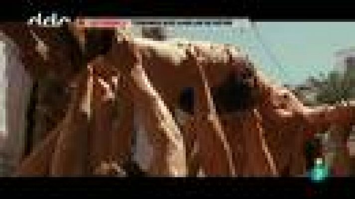 Días de cine - Días de cine: 'Tenemos que hablar de Kevin'