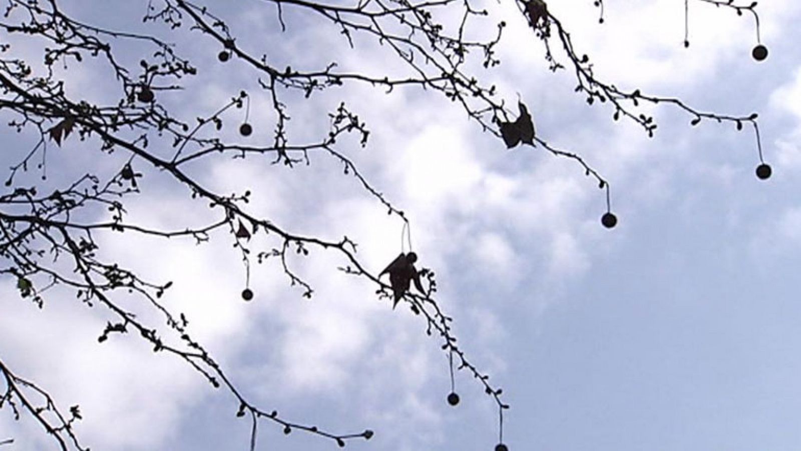 El tiempo: Descenso de las temperaturas y lluvias en el sur | RTVE Play