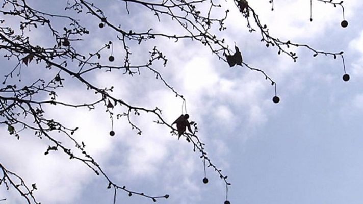 Descenso de las temperaturas y lluvias en el sur