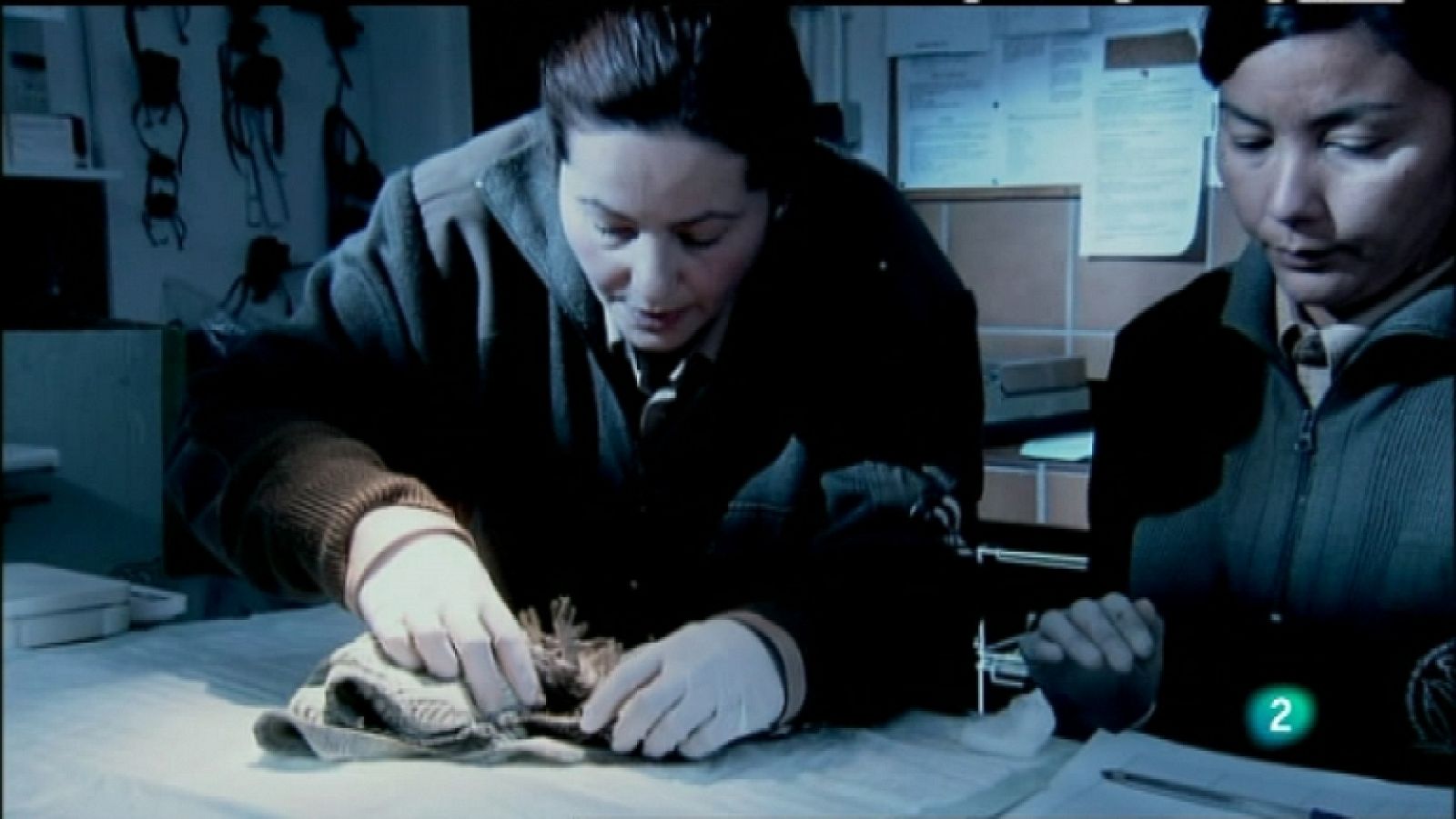 Biodiario - 16/03/12 - Ver ahora