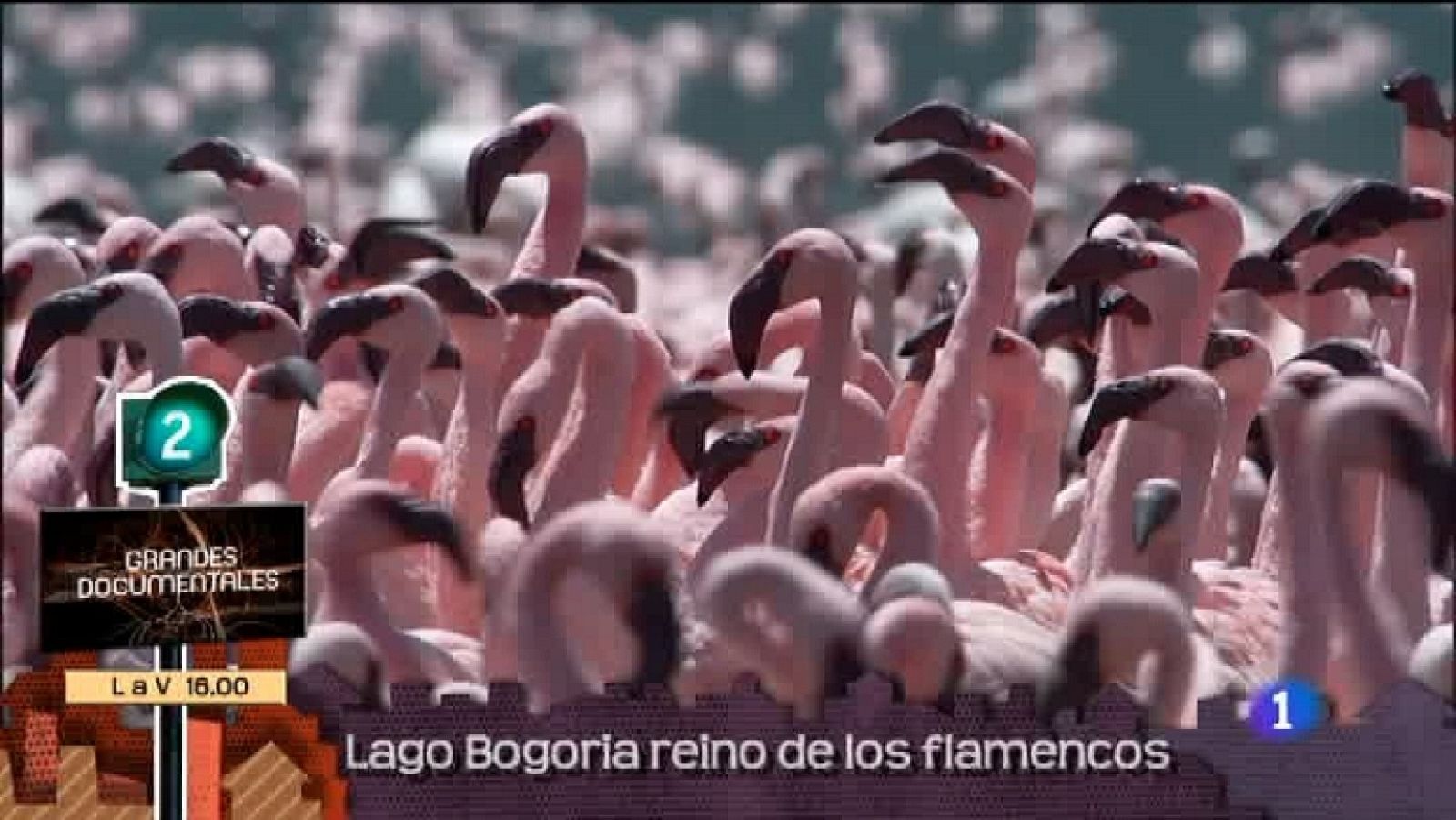 Lo que hay que ver - 17/03/12 - Ver ahora