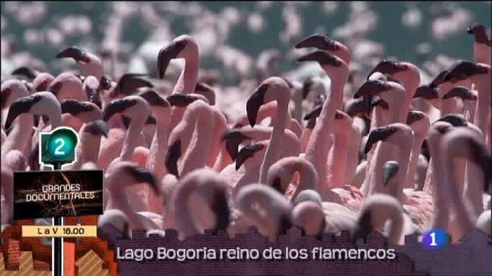 Lo que hay que ver ... - Lo que hay que ver - 17/03/12