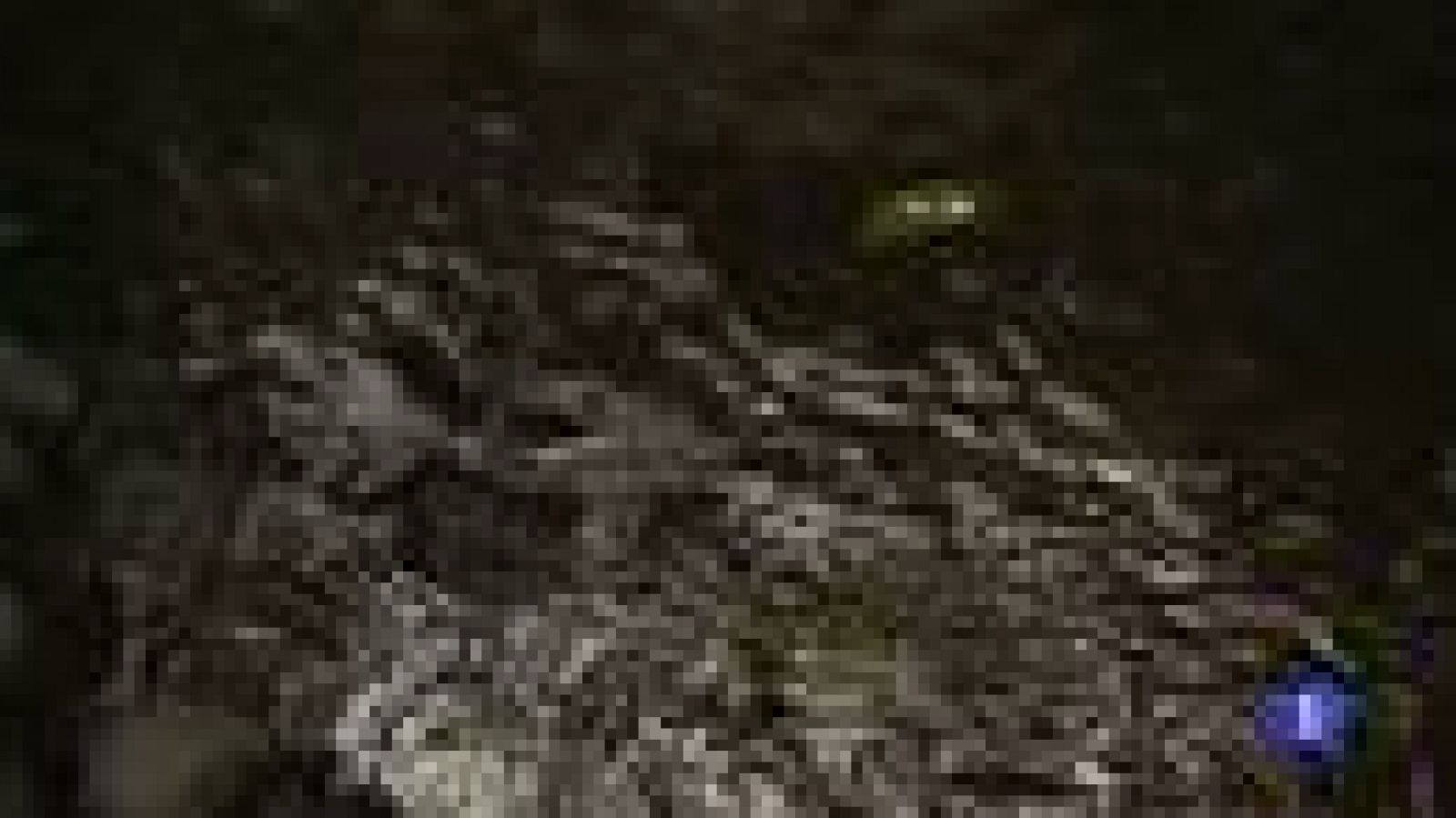 Huella hídrica, Gasto medio de agua al día