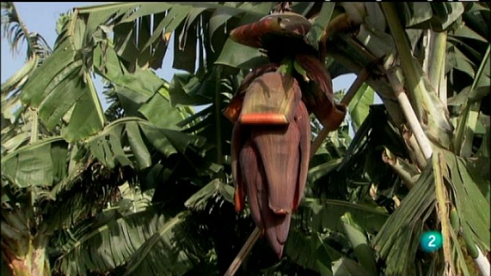 Biodiario - Biodiario - 18/03/12