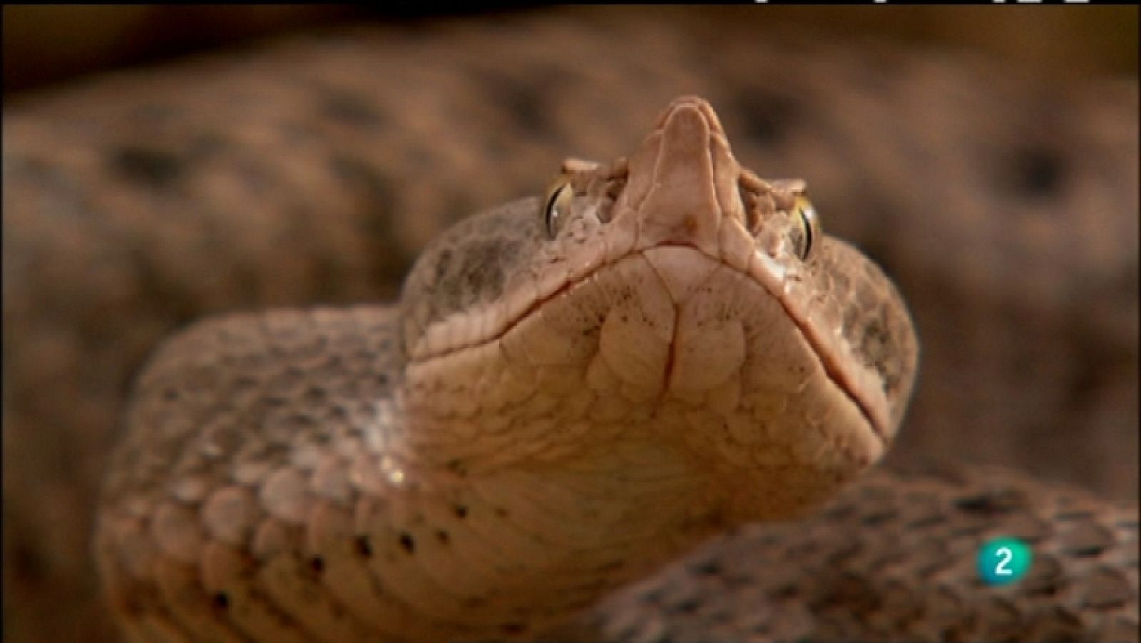 Biodiario - 19/03/12  - Ver ahora