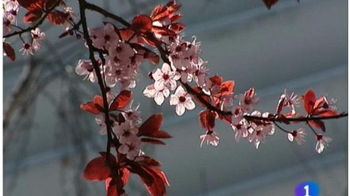 Panorama Regional - Asturias en 2' - 20/03/12