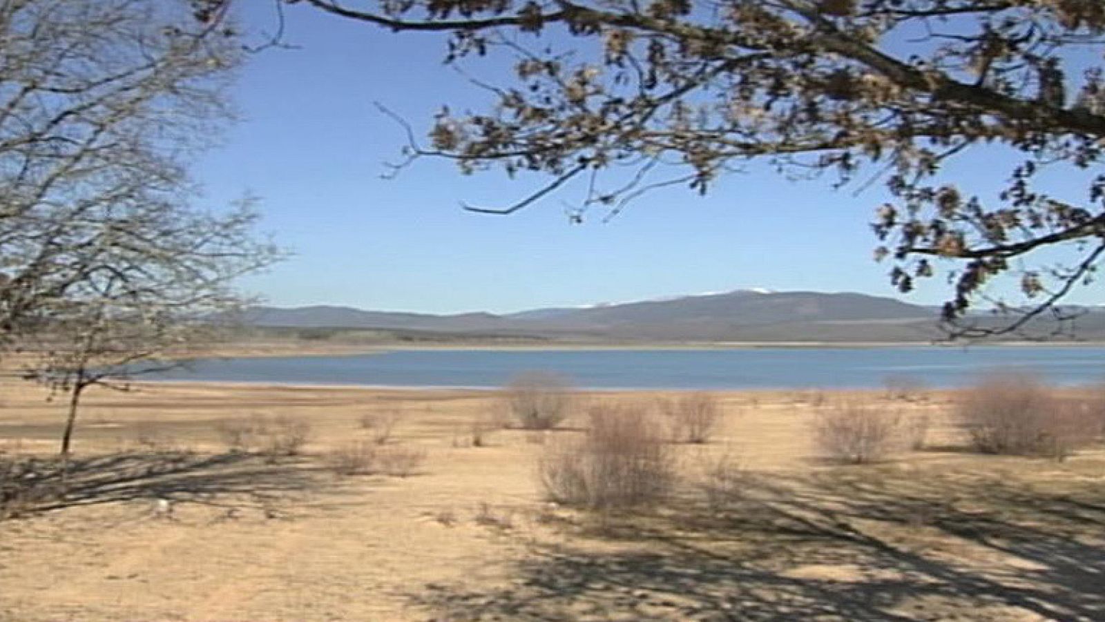 La mesa de la sequía estudia las pérdidas de agricultores y ganaderos
