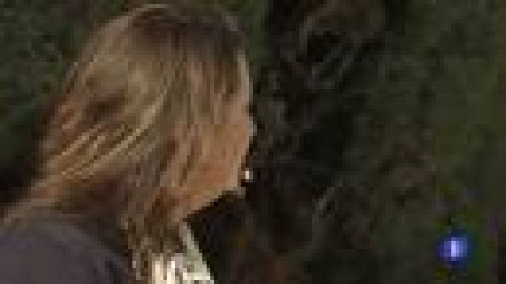 Telediario 1 - Ansiedad y medicamentos