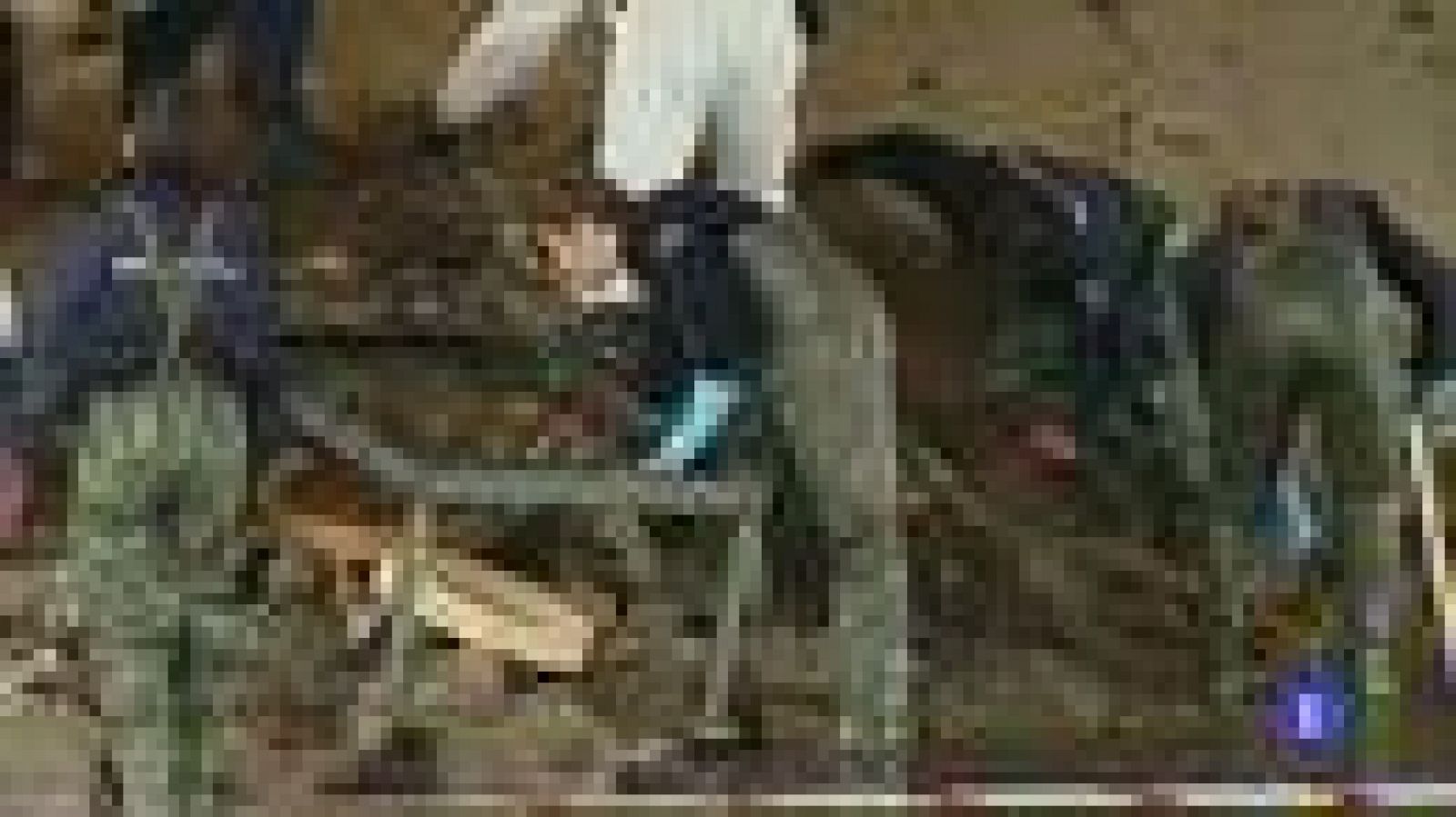 Encontrado finalmente el cadáver de un hombre presunta víctima de la mafia serbia