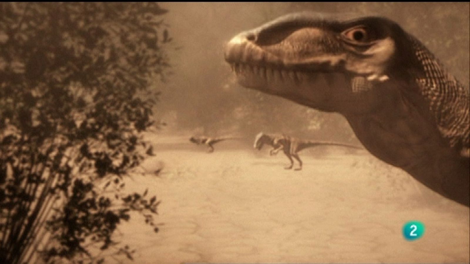 Docufilia - Armagedón Animal - Asfixiada