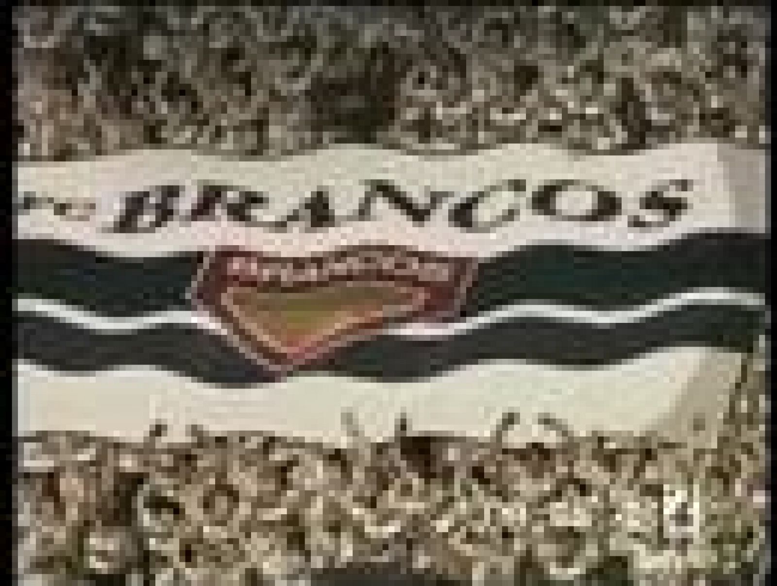 Cap16. Campeones hacia el Mundial: Oliver y Benji 