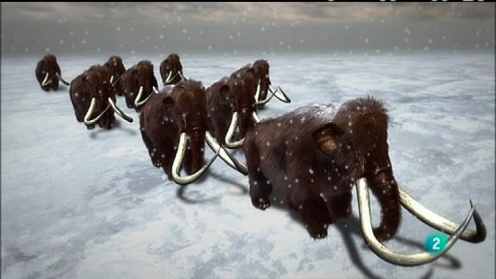 Documenta2 - Fuego y hielo